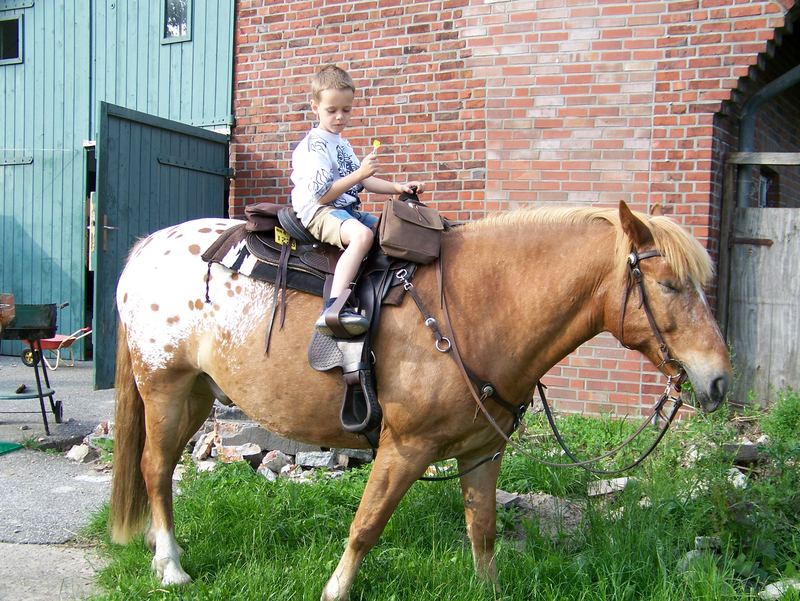 Gefahren für Kinder