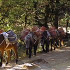 Gefahrgut Transport