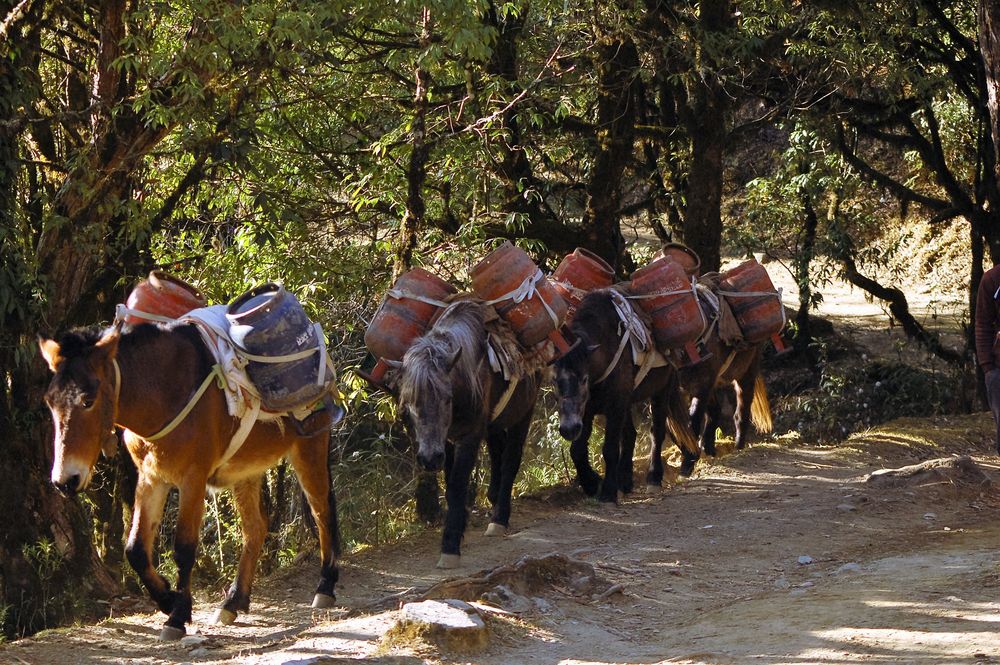 Gefahrgut Transport