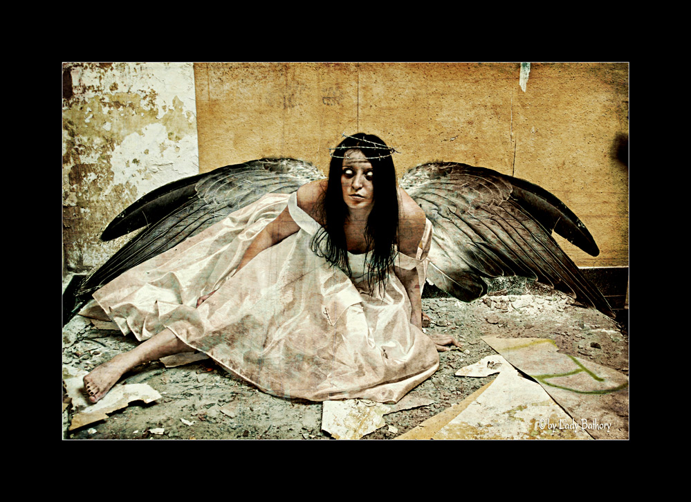 The Enigmatic Bild Gefallener Engel: A Journey Through History, Value, and Urgency