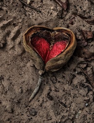 Gefallenes Herz