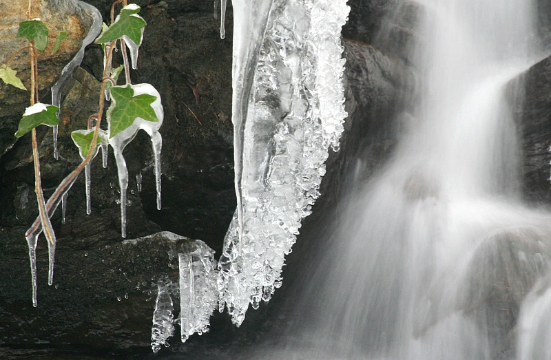 gefangen im Eis