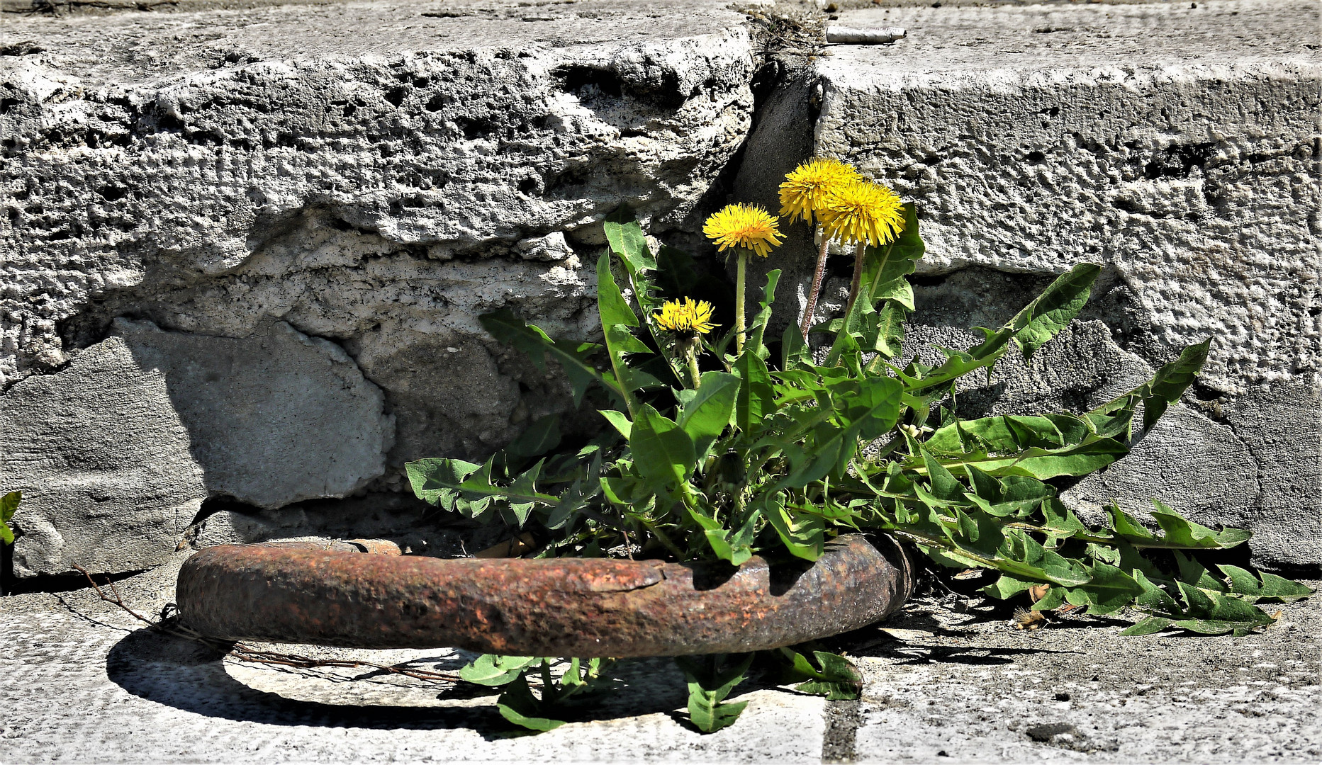 Gefangen im Eisenring