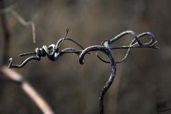 gefangen im Korkenzieher