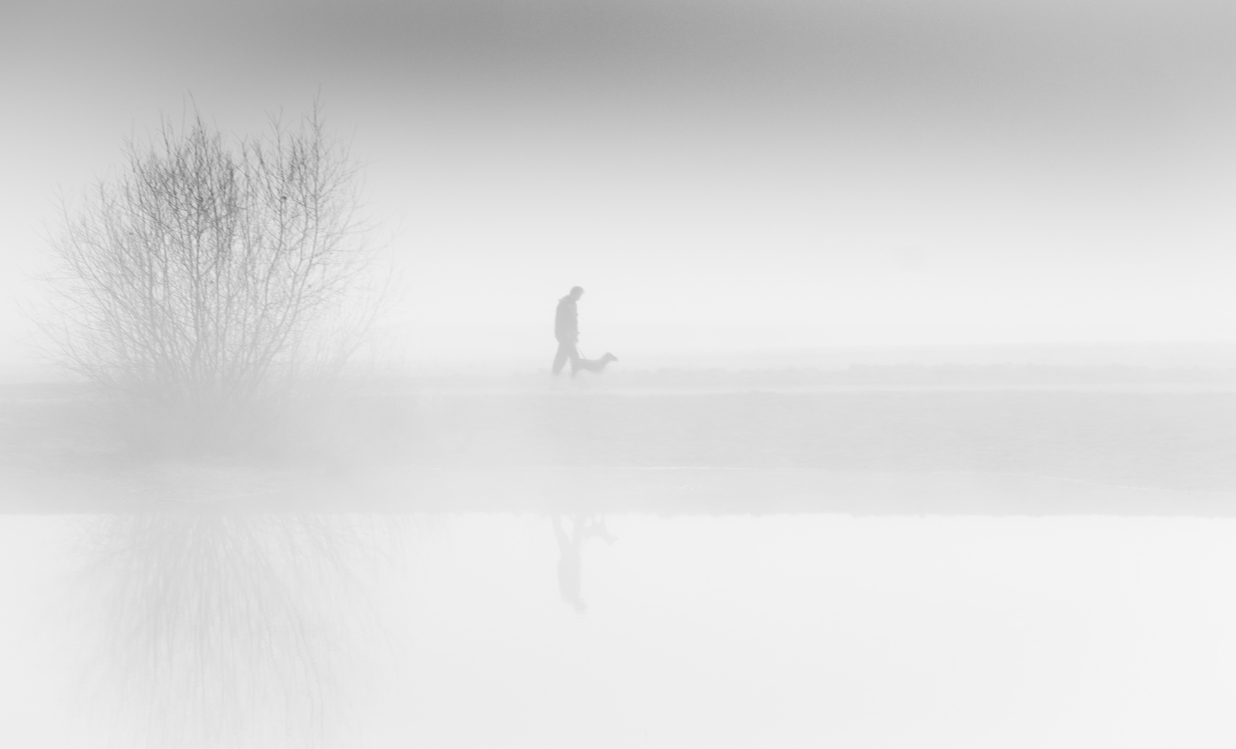 Gefangen im Nebel