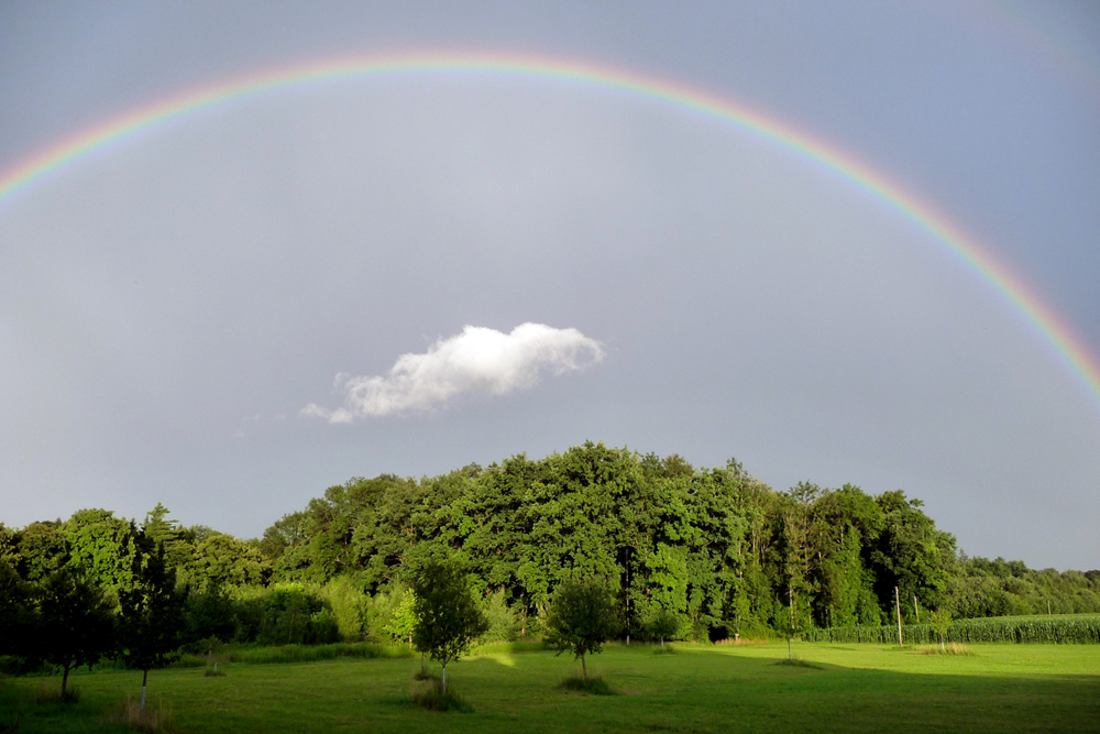 Gefangen im Regenbogen