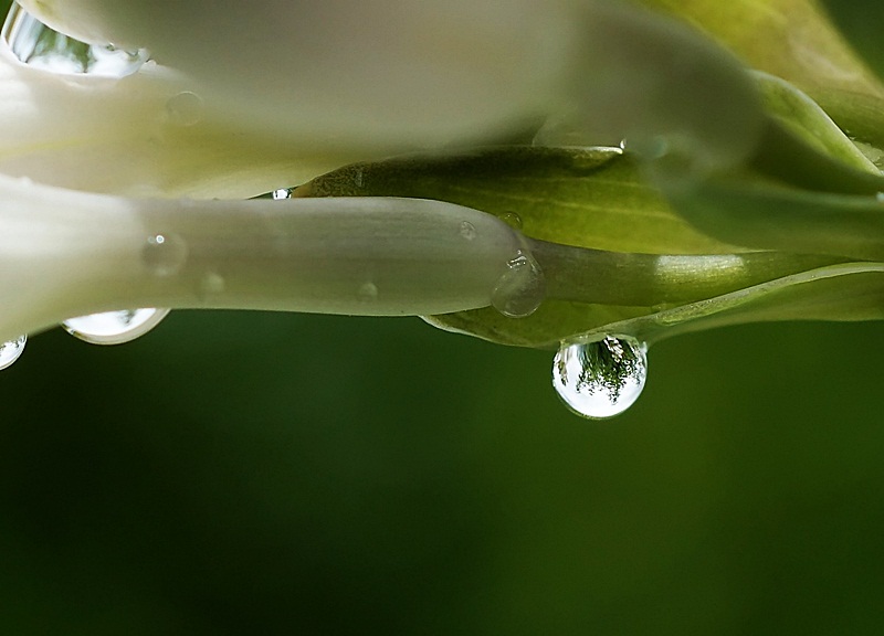 Gefangen im Wasser