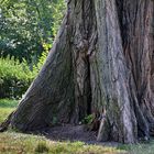 gefangen in der Natur