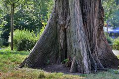 gefangen in der Natur