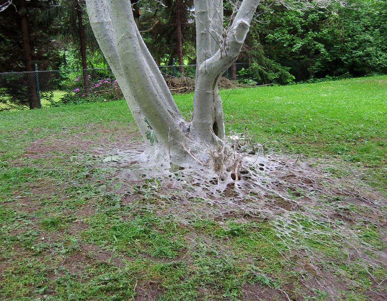gefangen2