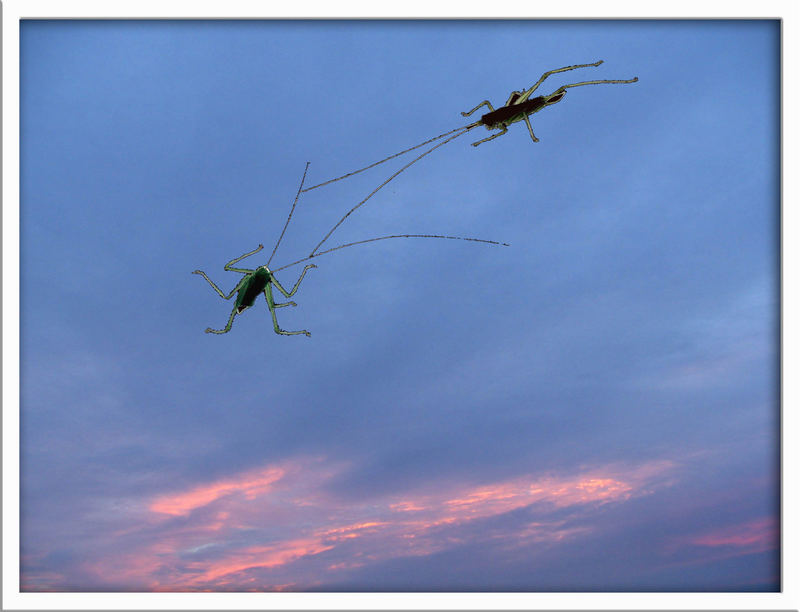 Gefecht am Abend