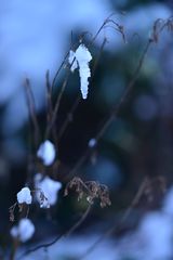 Gefiel mir einfach so am Wegesrand