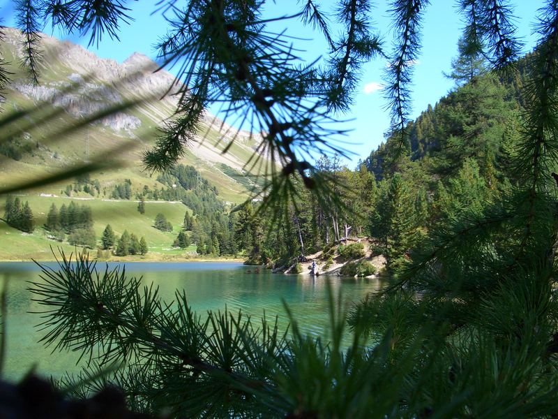 gefilterter Bergsee- Palpuniersee - Albulapass Graubünden Schweiz