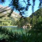 gefilterter Bergsee- Palpuniersee - Albulapass Graubünden Schweiz