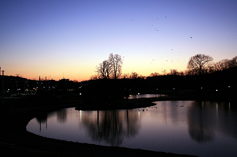 Geflatters am Gebäums zum Sonnenuntergang