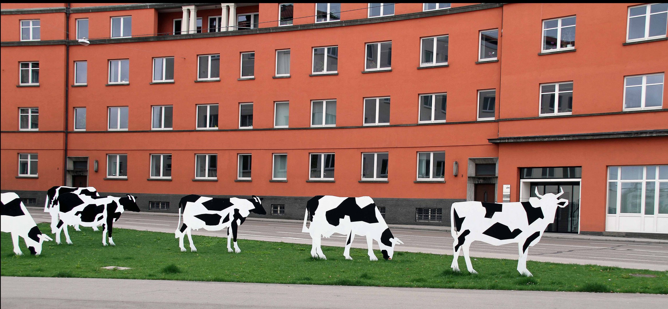Gefleckte Kühe am Willy-Brandt-Platz in Ulm