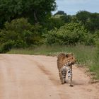 Gefleckter Gegenverkehr