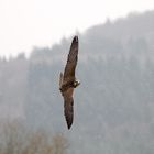 Geflogen wird bei jedem Wetter