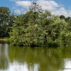 Geflügeldomiziel im Angelweiher