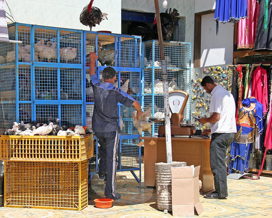 Geflügelmarkt