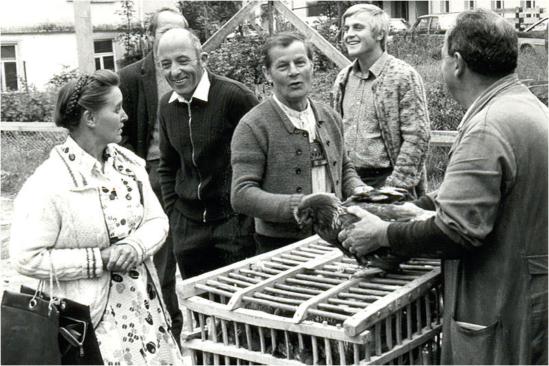 geflügelmarkt anno dazumal