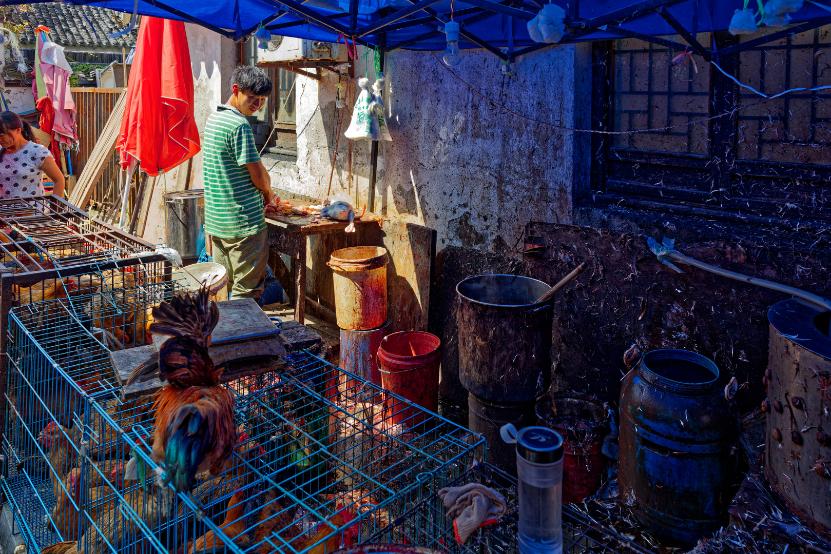 Geflügelmarkt in China