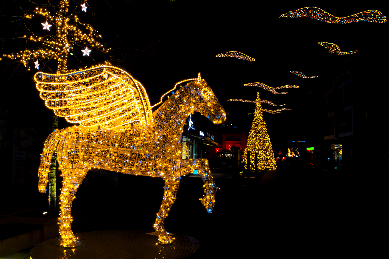 Geflügelte Weihnachtsbeleuchtung