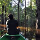 gefluteter Amazonas in Brasilien , mit dem Kanu von Baum zu Baum