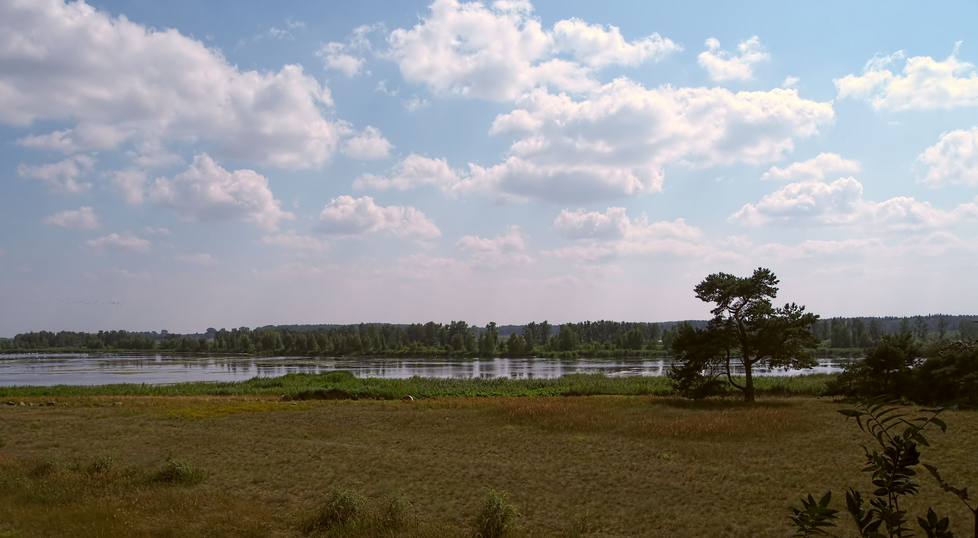 gefluteter Polder in Menzlin