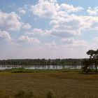 gefluteter Polder in Menzlin