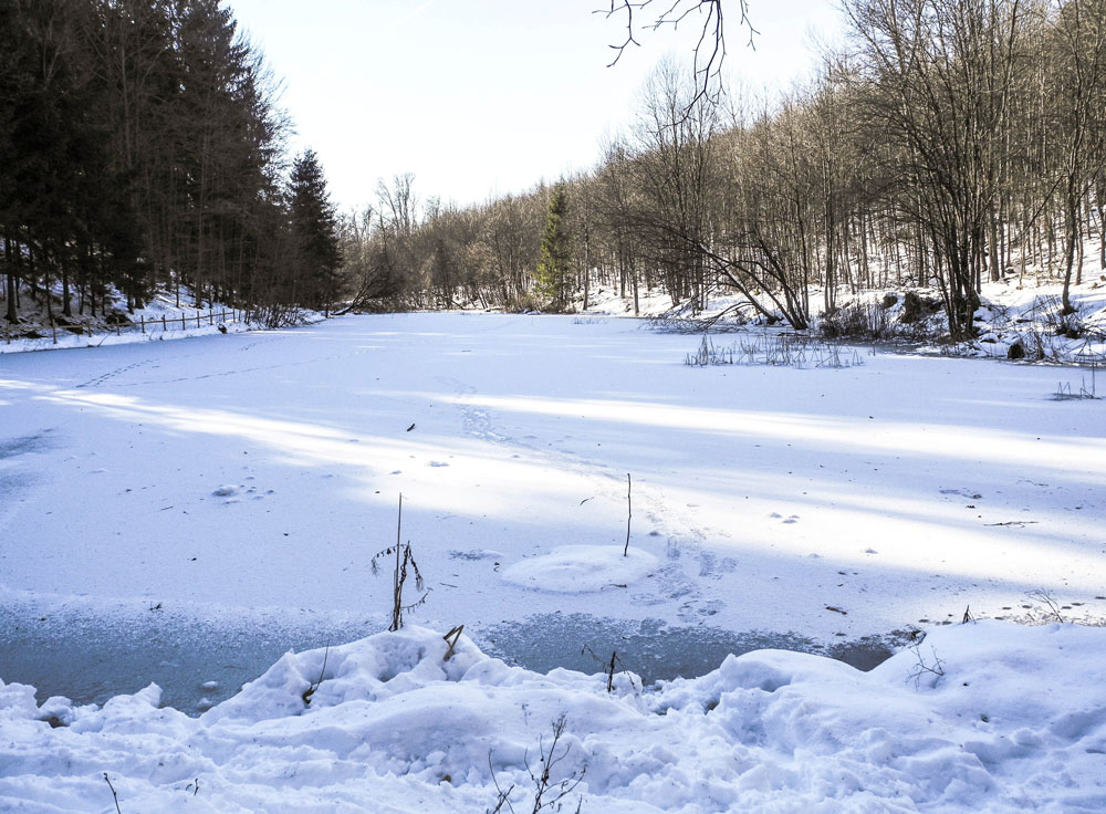 geforener Weiher