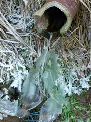 Geforenes im Wassergraben