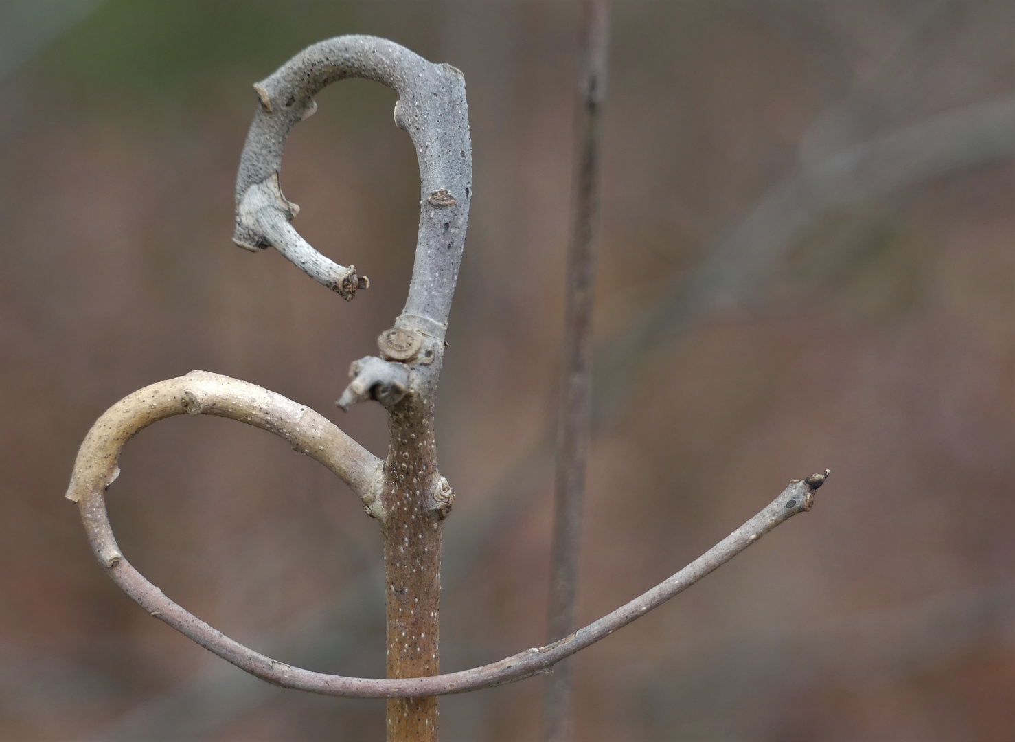 Geformt von der Natur.