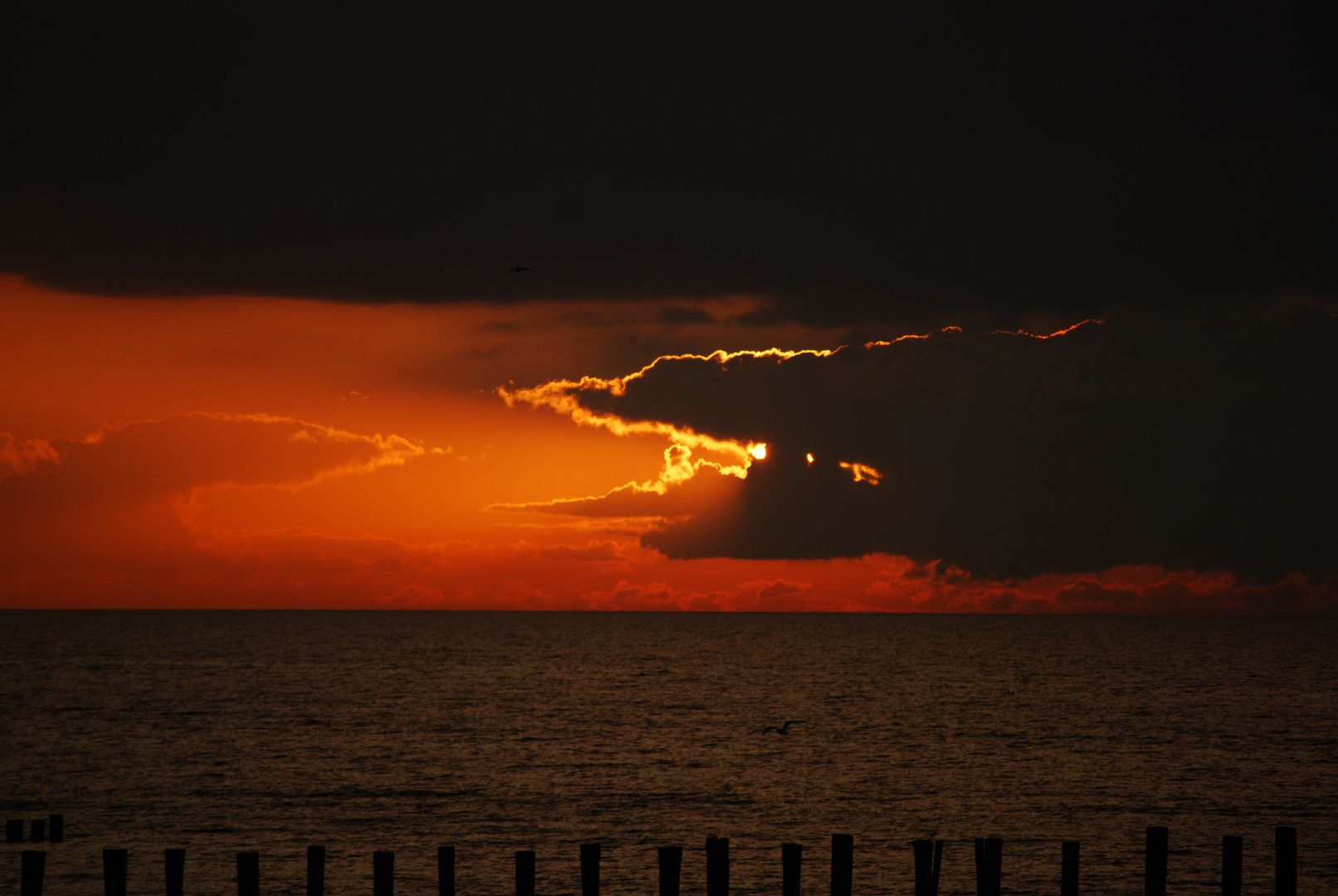 Gefräßige Wolke