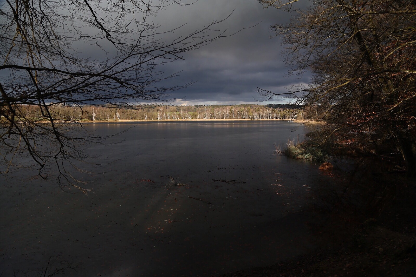 Gefrierer see