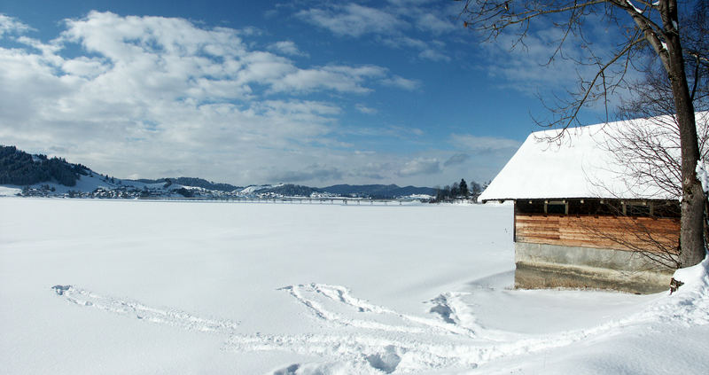 Gefrohrende Sihlsee, Willerzell (SZ)