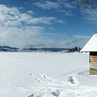 Gefrohrende Sihlsee, Willerzell (SZ)