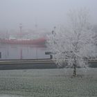 Gefrohrener Nebel