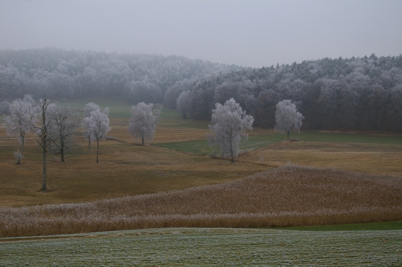 Gefrohrener Nebel