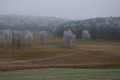 Gefrohrener Nebel