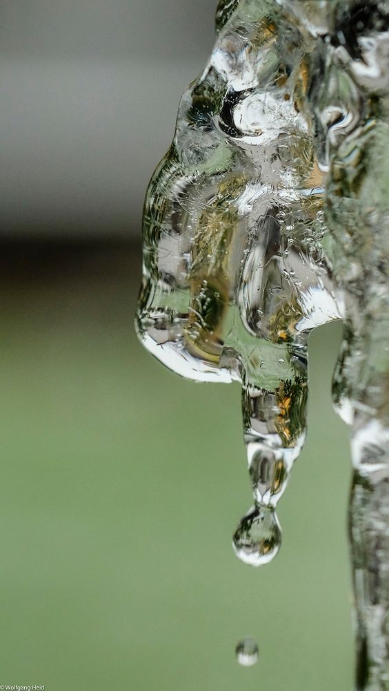 gefroren: Foto & Bild | natur, stillleben, motive Bilder auf fotocommunity