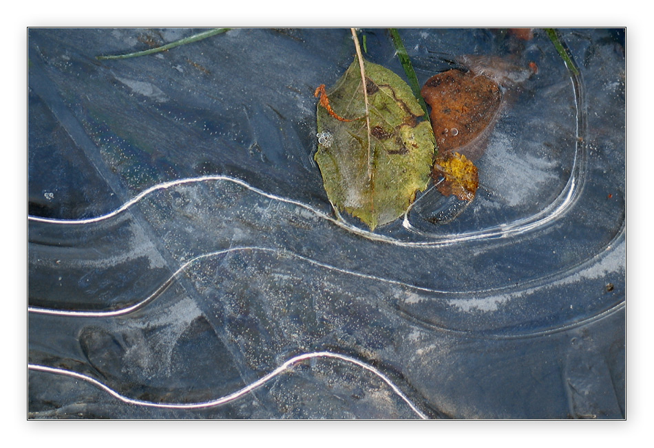 Gefrorene Herbstpfütze