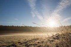 gefrorene Landschaft