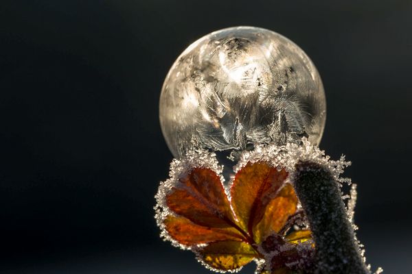 Gefrorene Seifenblase