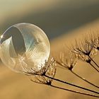 Gefrorene Seifenblase im Sonnenlicht