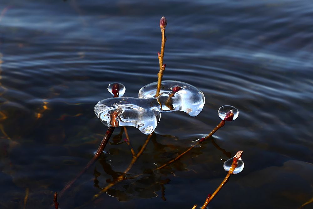 Gefrorene Tränen des Winters ...