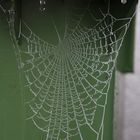 Gefrorene Web 