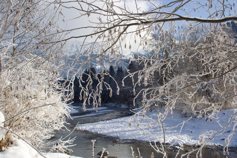 Gefrorene Winterlandschaft von Desiree Werner