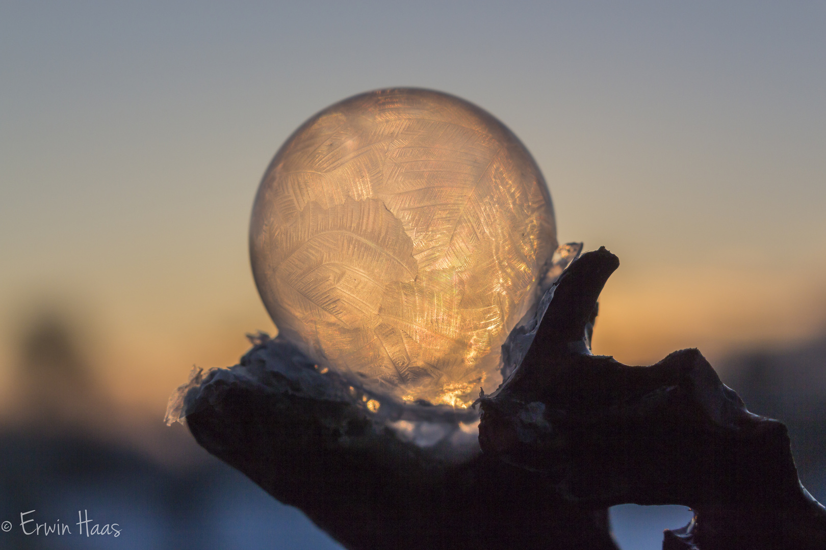 Gefrorenen Seifenblase bei Sonnenaufgang