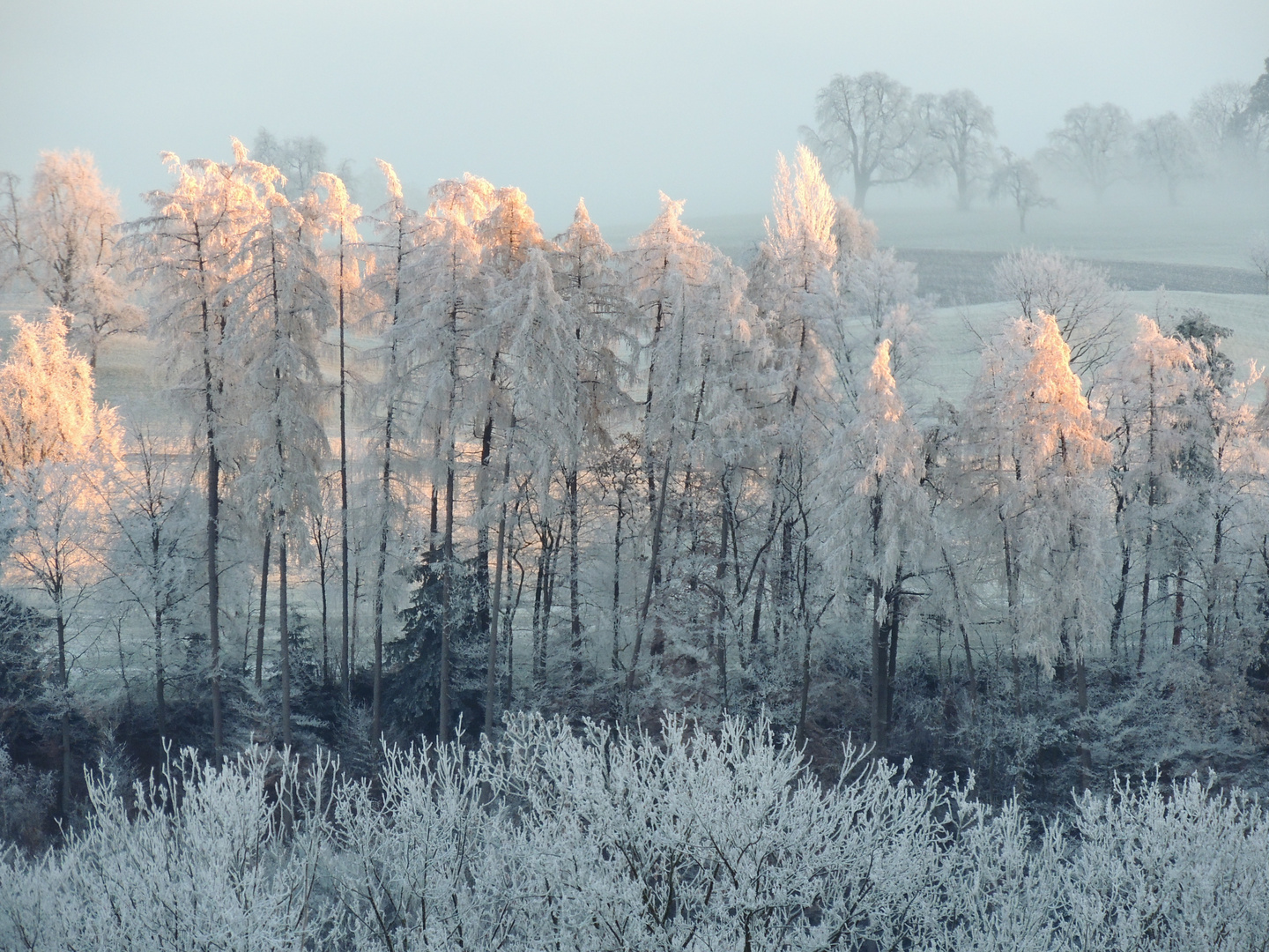 Gefrorener Ausblick